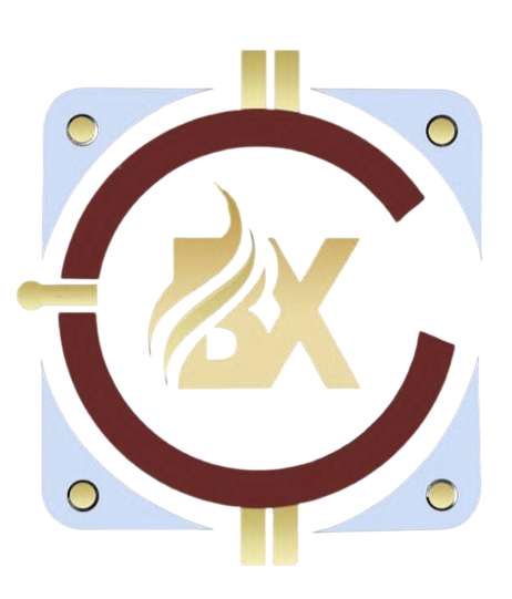 BancX Logo